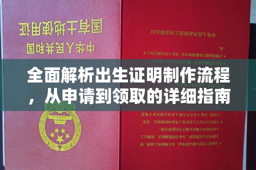 资中全面解析出生证明制作流程，从申请到领取的详细指南